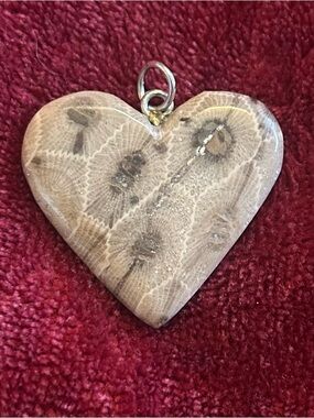 Heart-Shaped Petoskey Stone Pendant